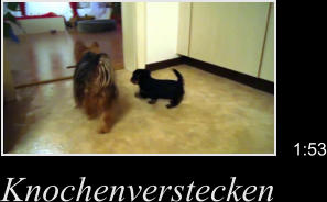 Knochenverstecken 1:53