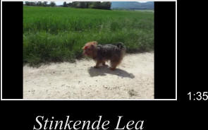 Stinkende Lea 1:35